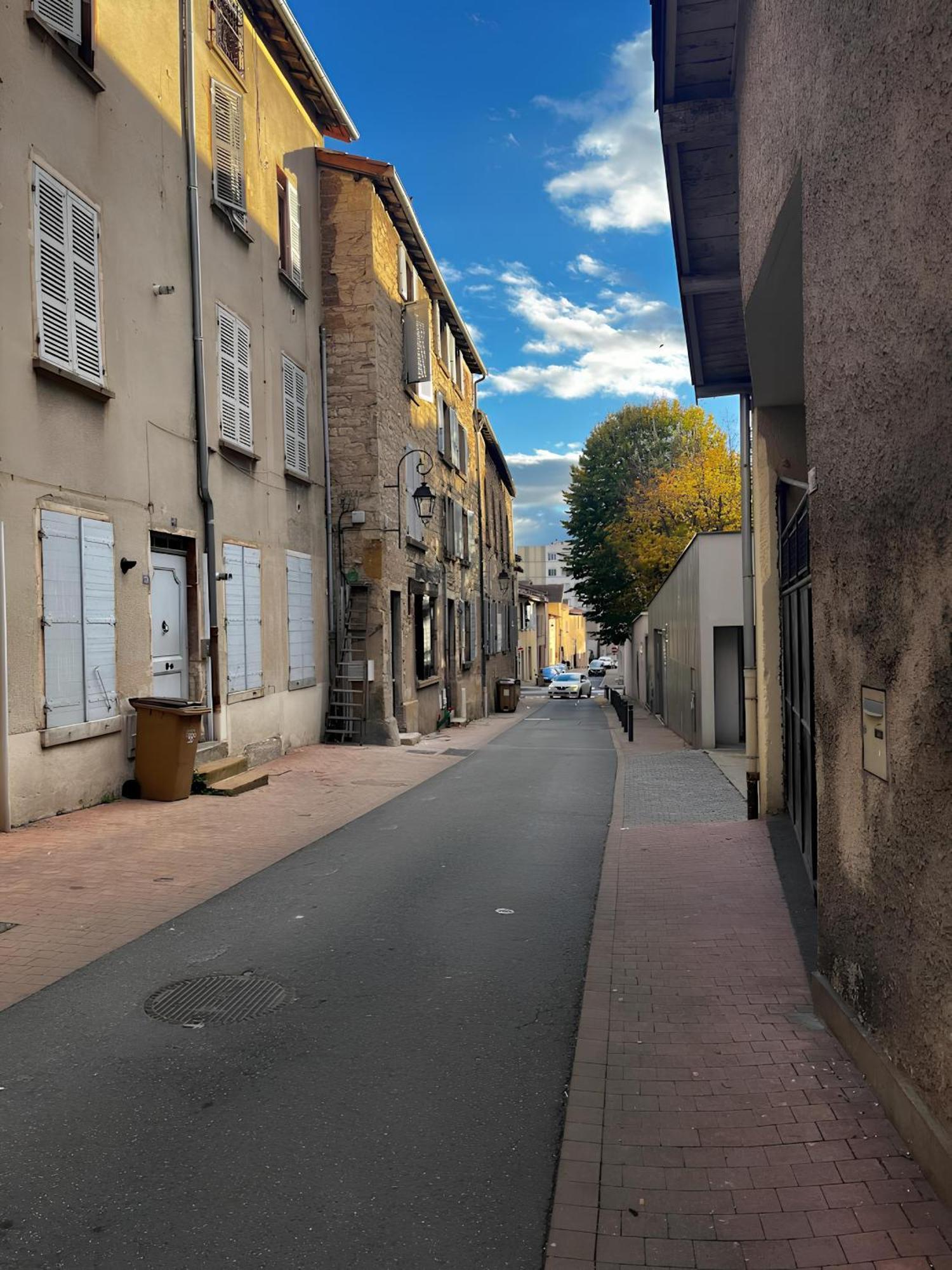 Tinyhouse Experience In Beaujolais Leilighet Villefranche-sur-Saône Eksteriør bilde